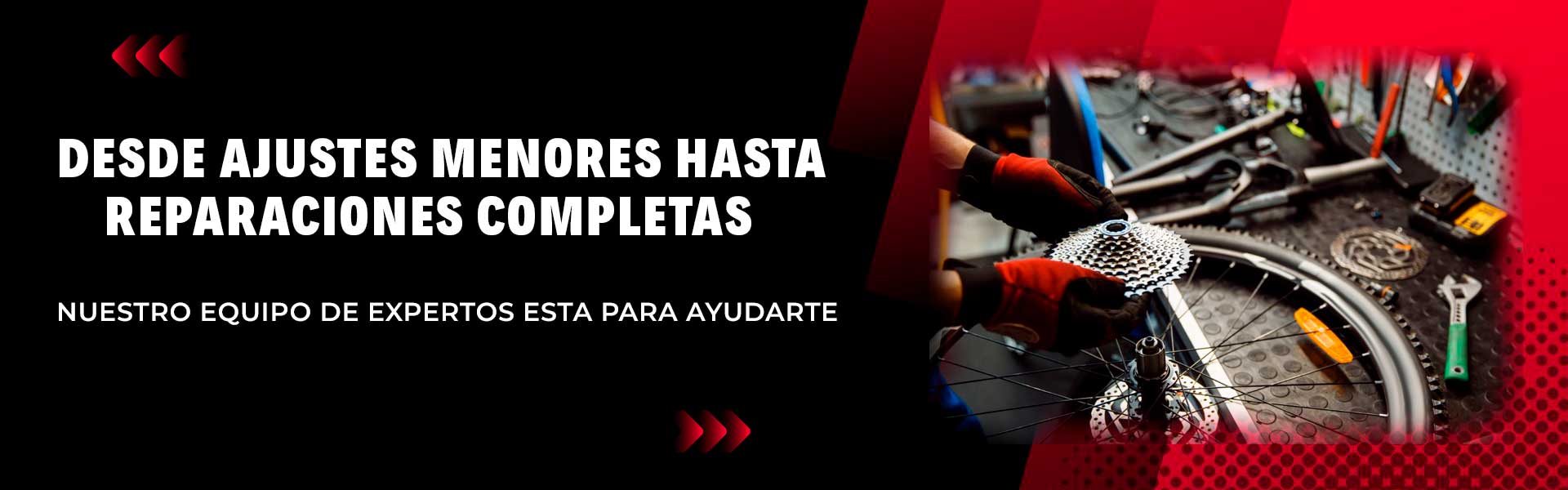 banner-servicios banner-servicios