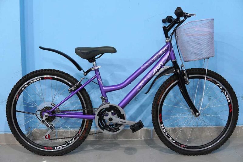 bicicleta aro 26 con canasta y aros doble pared