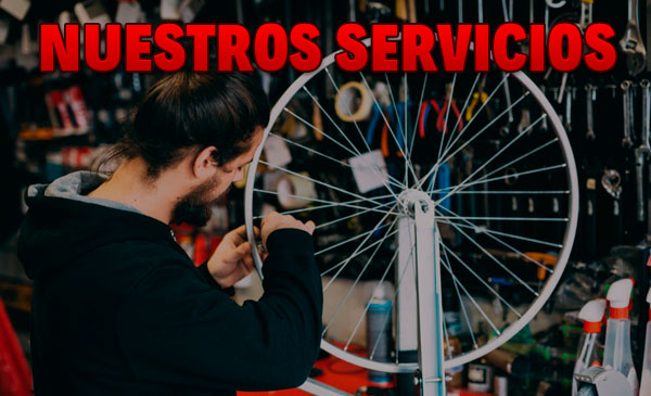 todos-nuestros-servicios