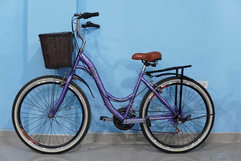 bicicleta aro 26 con aros doble pared y canasta morada